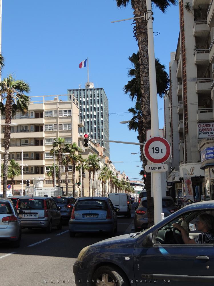 37  Toulon et sa Mairie Avenue de la Republique.JPG -           